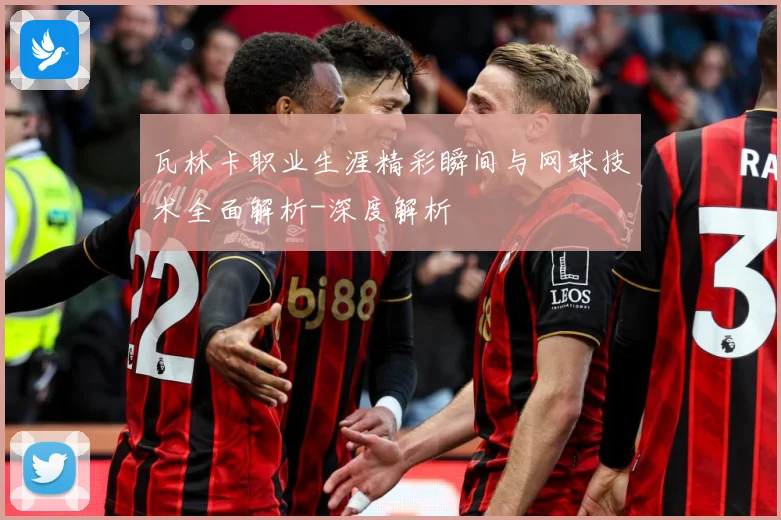 瓦林卡职业生涯精彩瞬间与网球技术全面解析-深度解析