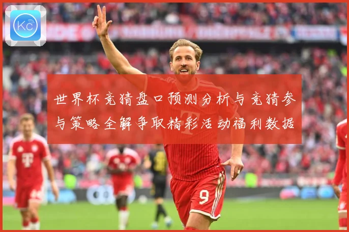 世界杯竞猜盘口预测分析与竞猜参与策略全解争取精彩活动福利数据研判-深度解析