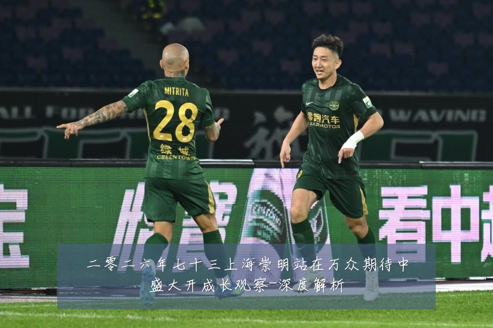 二零二六年七十三上海崇明站在万众期待中盛大开成长观察-深度解析
