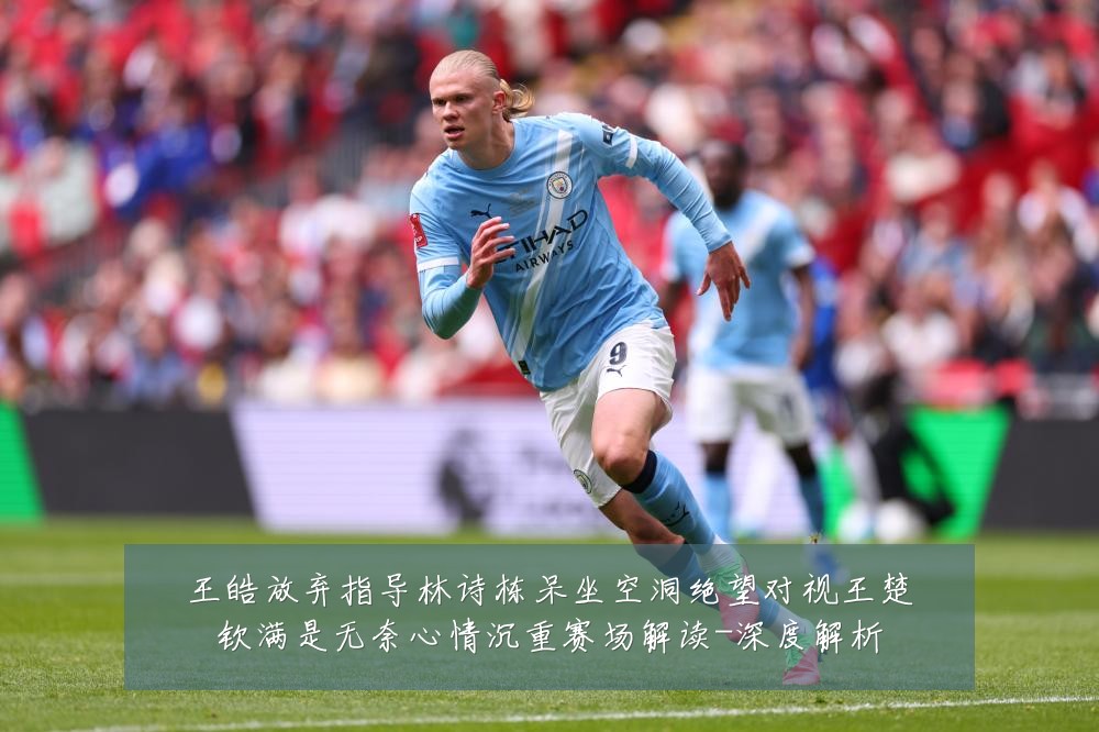 王皓放弃指导林诗栋呆坐空洞绝望对视王楚钦满是无奈心情沉重赛场解读-深度解析