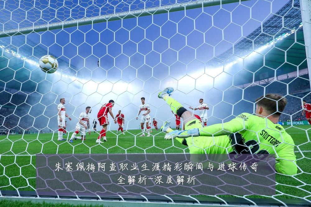 朱塞佩梅阿查职业生涯精彩瞬间与进球传奇全解析-深度解析