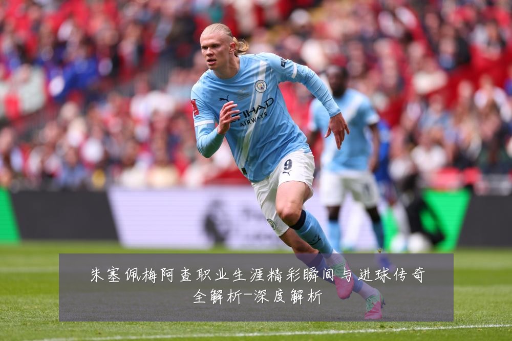 朱塞佩梅阿查职业生涯精彩瞬间与进球传奇全解析-深度解析